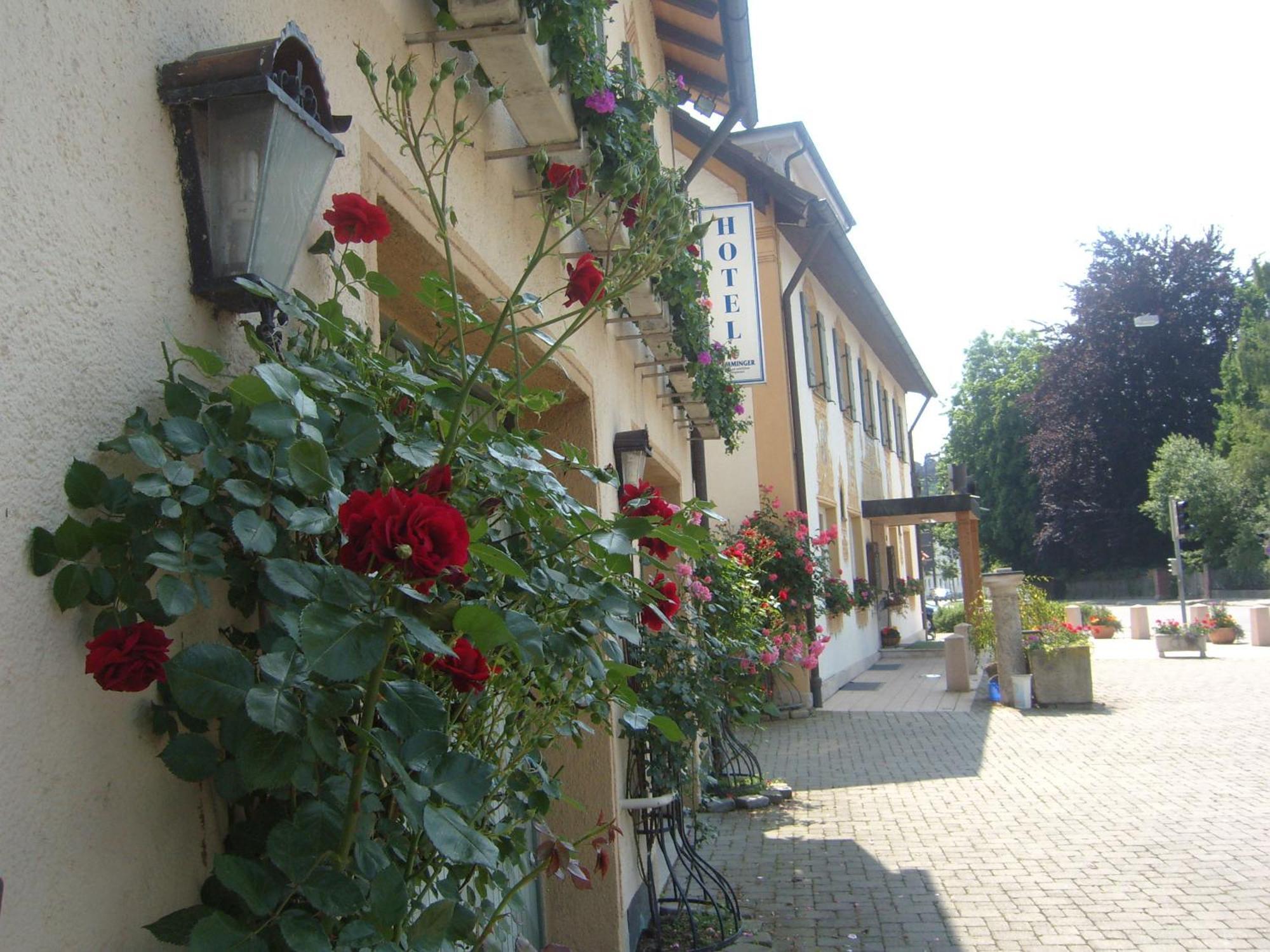 Hotel Gasthof Stern Mindelheim Zewnętrze zdjęcie